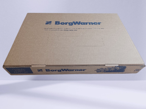 zestaw nap borg warner-fotor-bg-remover-2024031316590